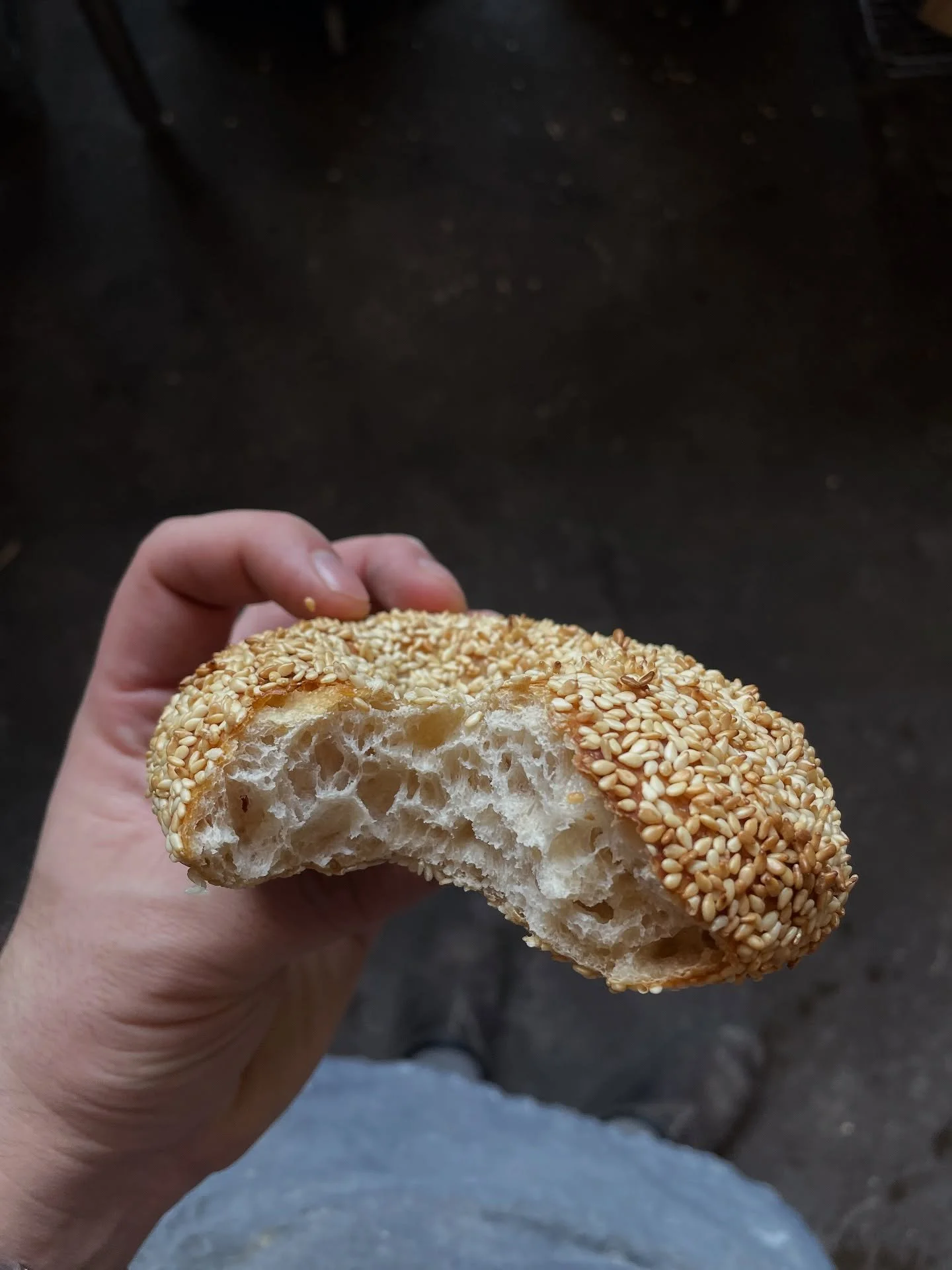 sesame bagels, bird bread, @dearfranciscoffee , chopped chocolate bagels, oat porridge spiral loaves, @chimacumgrain multigrain loaves double diamond, fissures of more bird bread, etc.