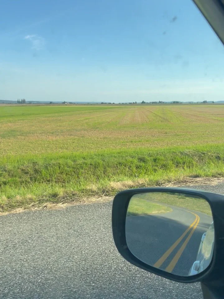 Such a lovely trip up to the Magic Skagit Valley to visit @cairnspringmills , some of the family farms they source from, bakeries that use their flour, and reconnect with @wsu_bread_lab &amp; @seawolfbakers 🌾 - thank you for the invite to come up an