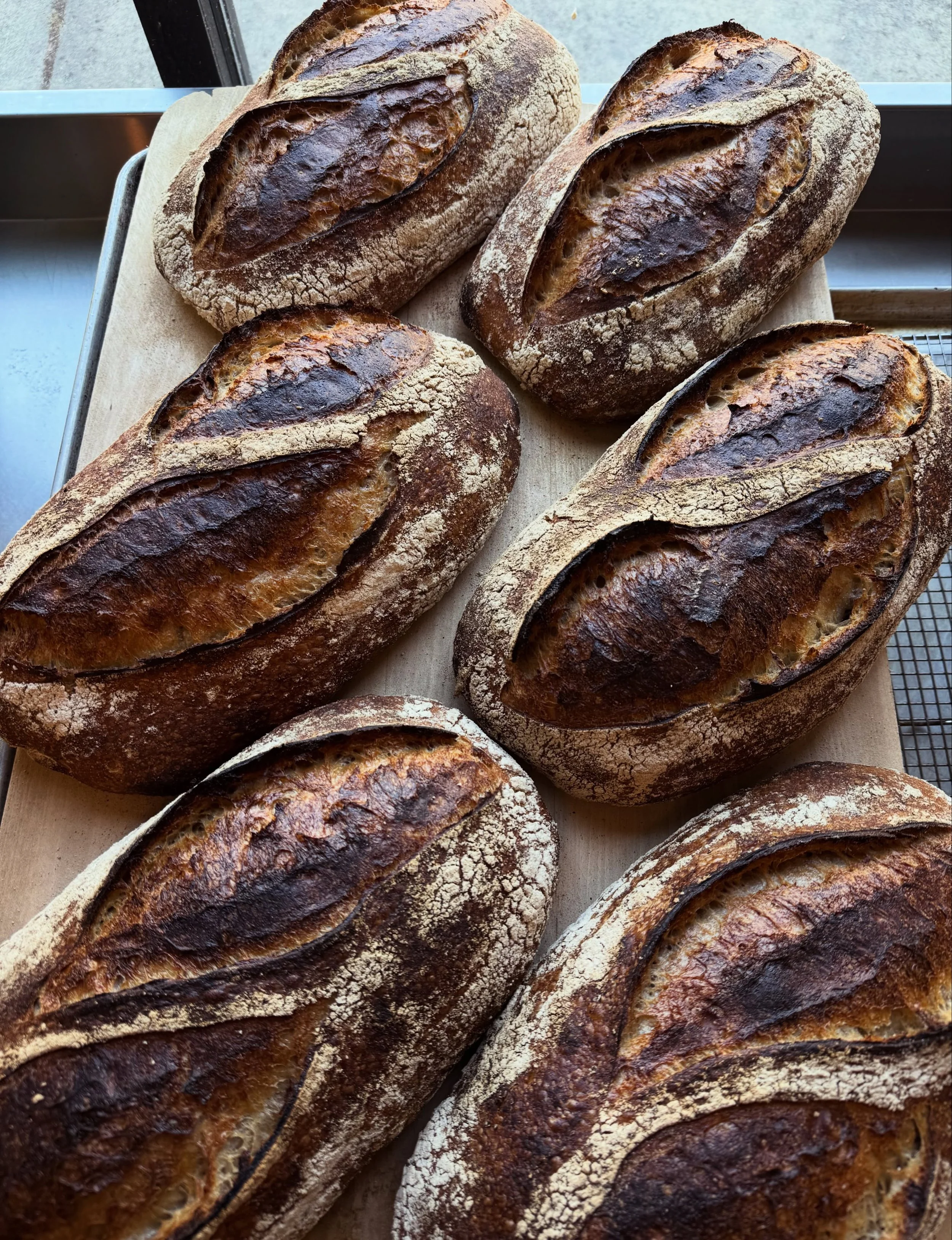 Country Spelt