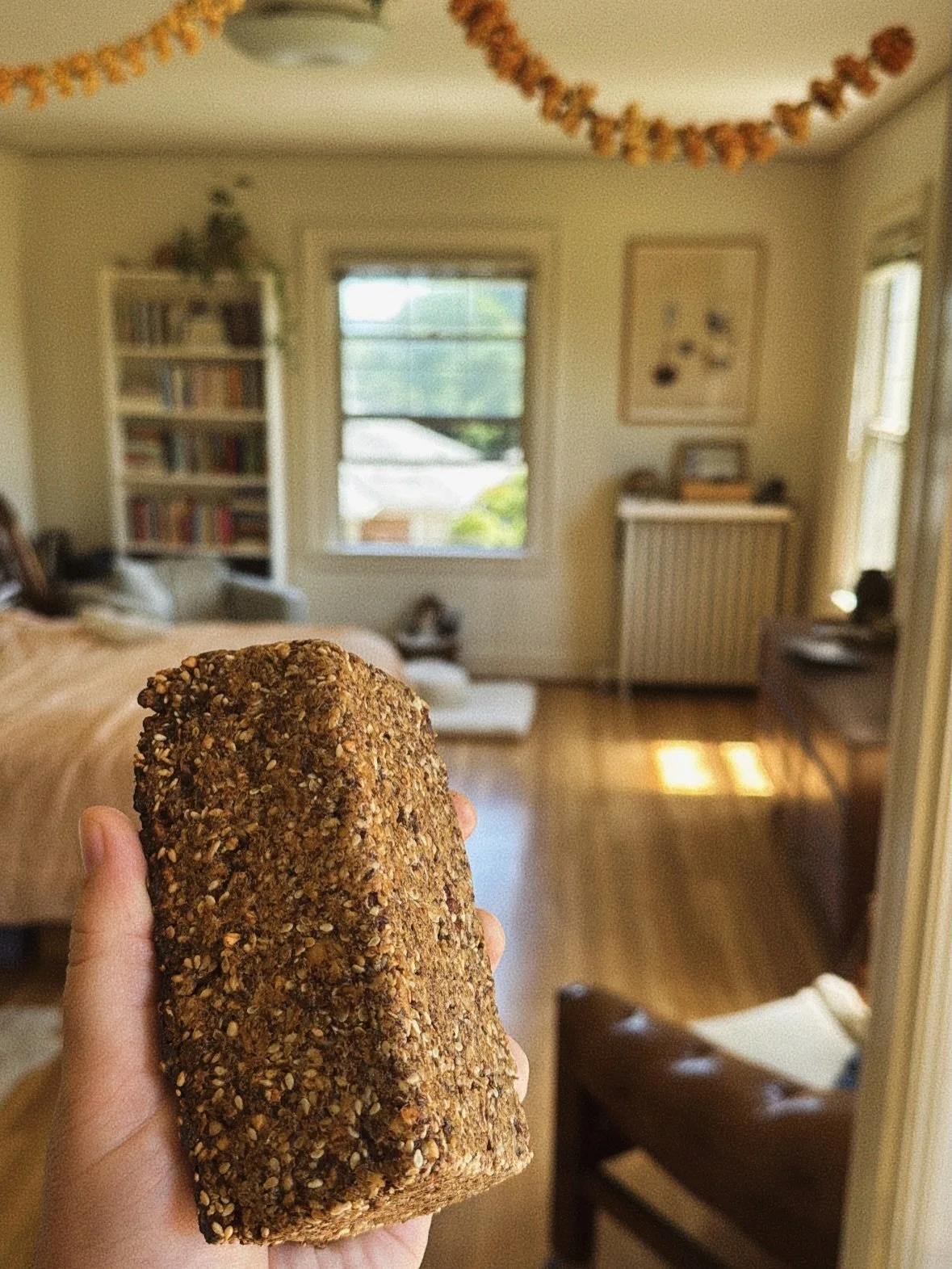 @joseybakerbread &lsquo;s gluten free adventure bread with the nuts and seeds I had on hand 🌰🌱🌞