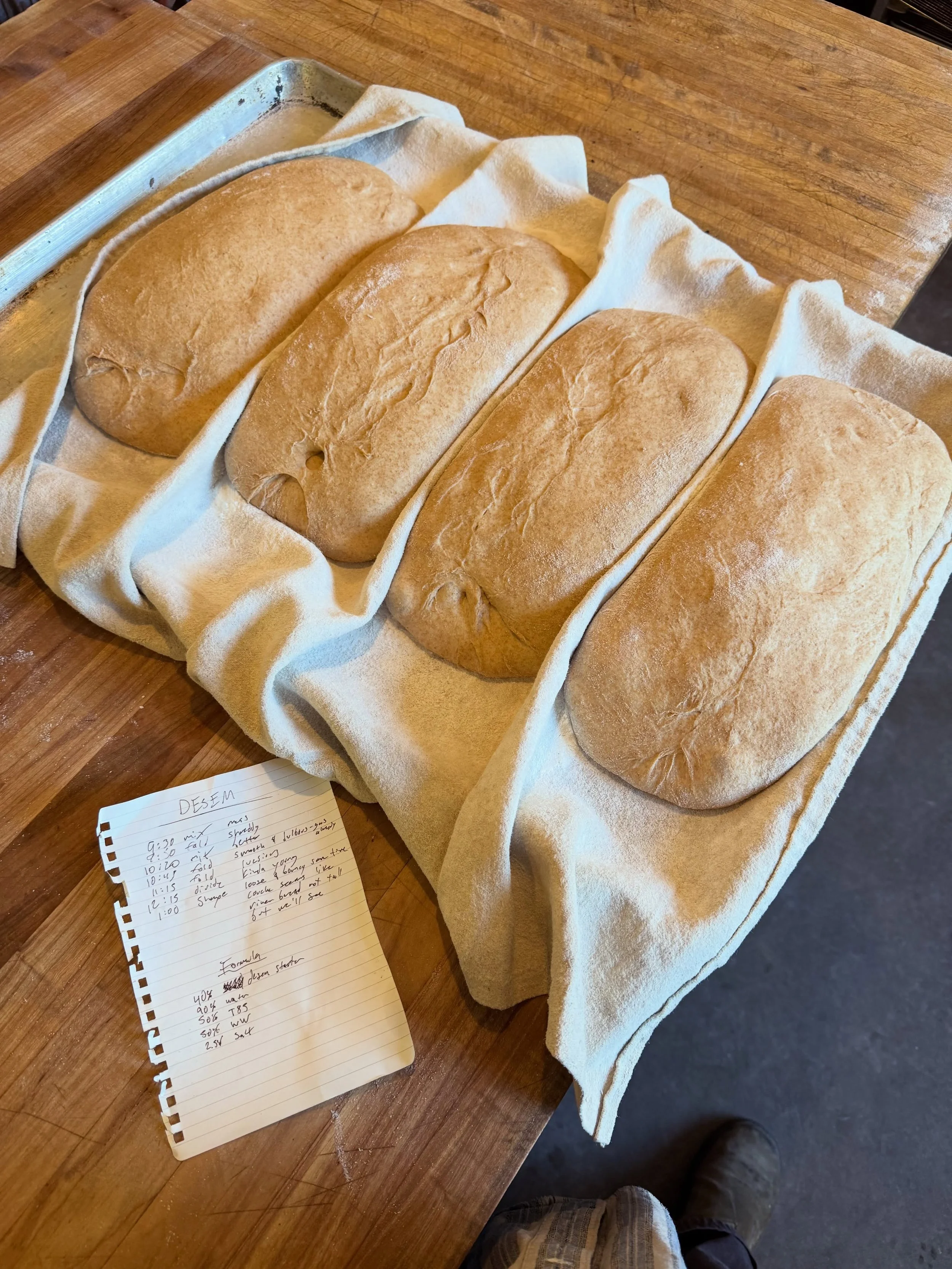 Desem Bread - ambient, free form - proofed in couche, based on Alan Scott&rsquo;s bread chapter in The Bread Builders with @tartinebaker
