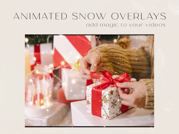 1 snow.gif