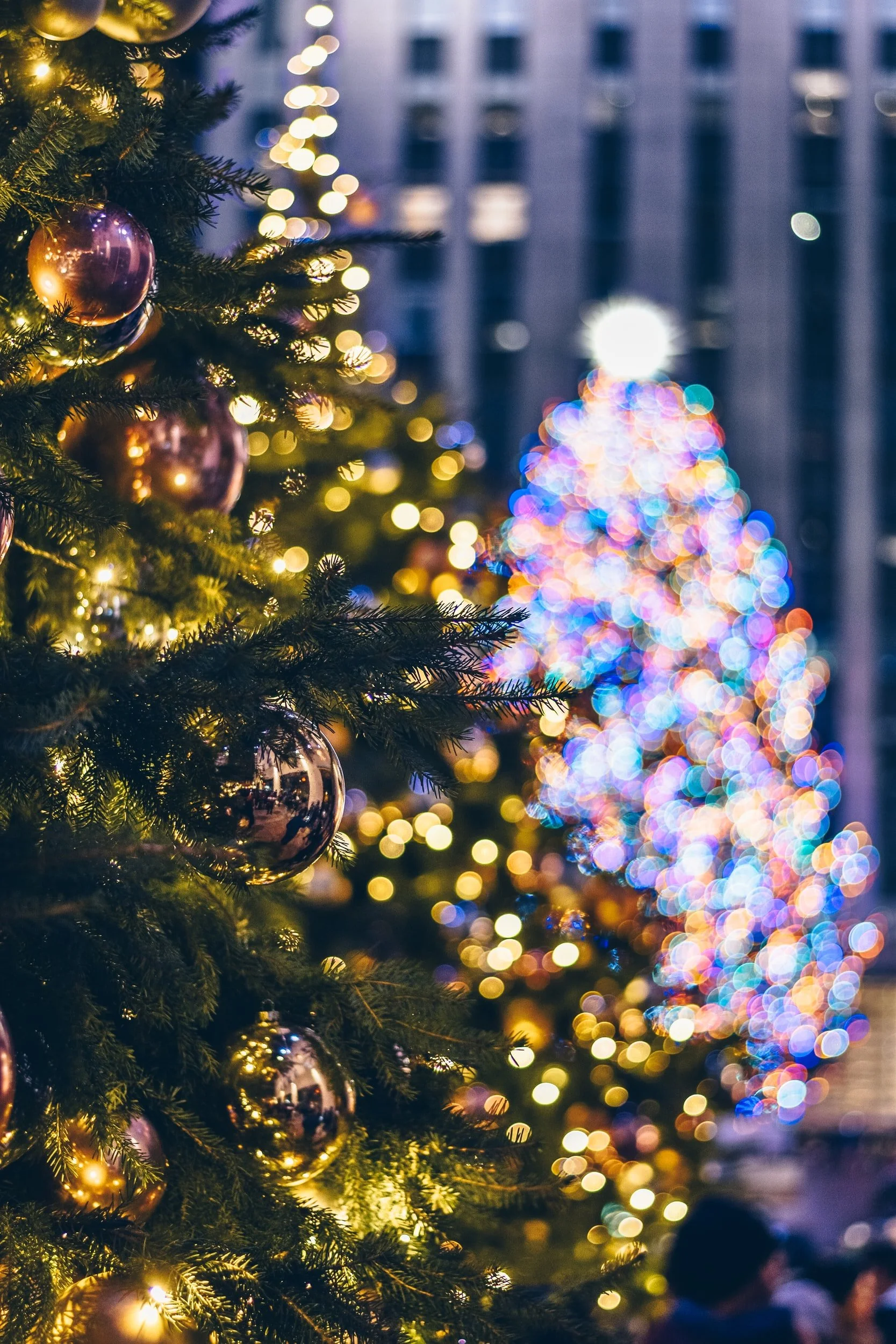 unsplash-image-EinarOsPaNo.jpg