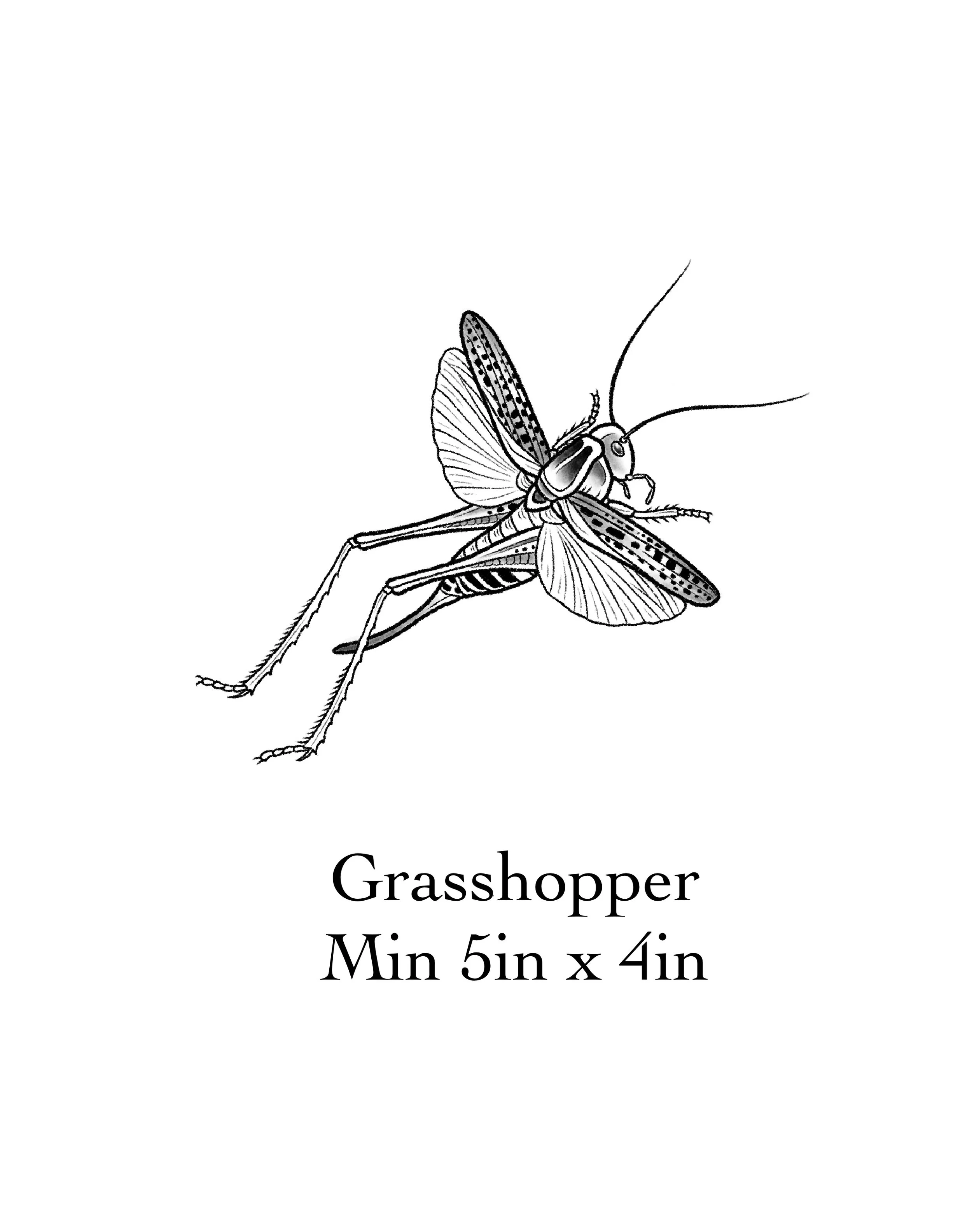 Butterflies_And_Bugs_.jpg
