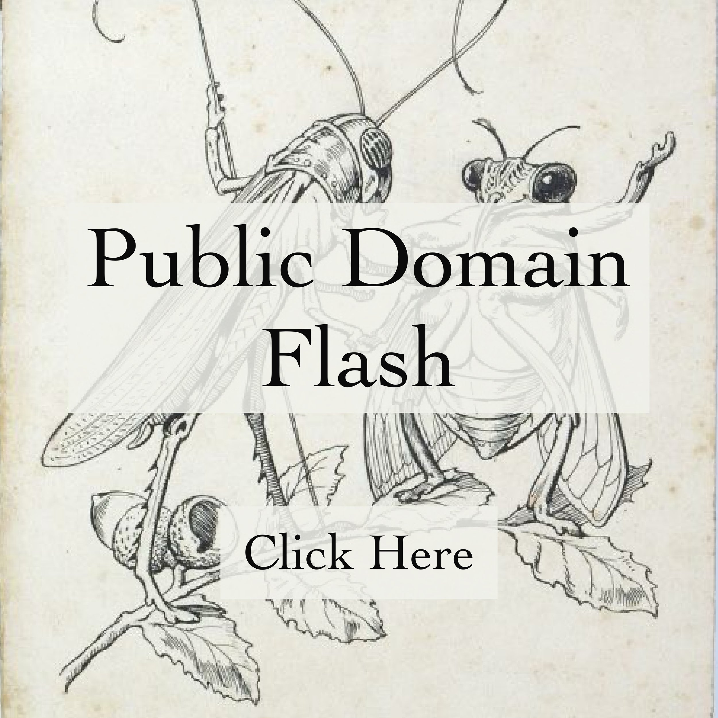 Public Domain Inspo