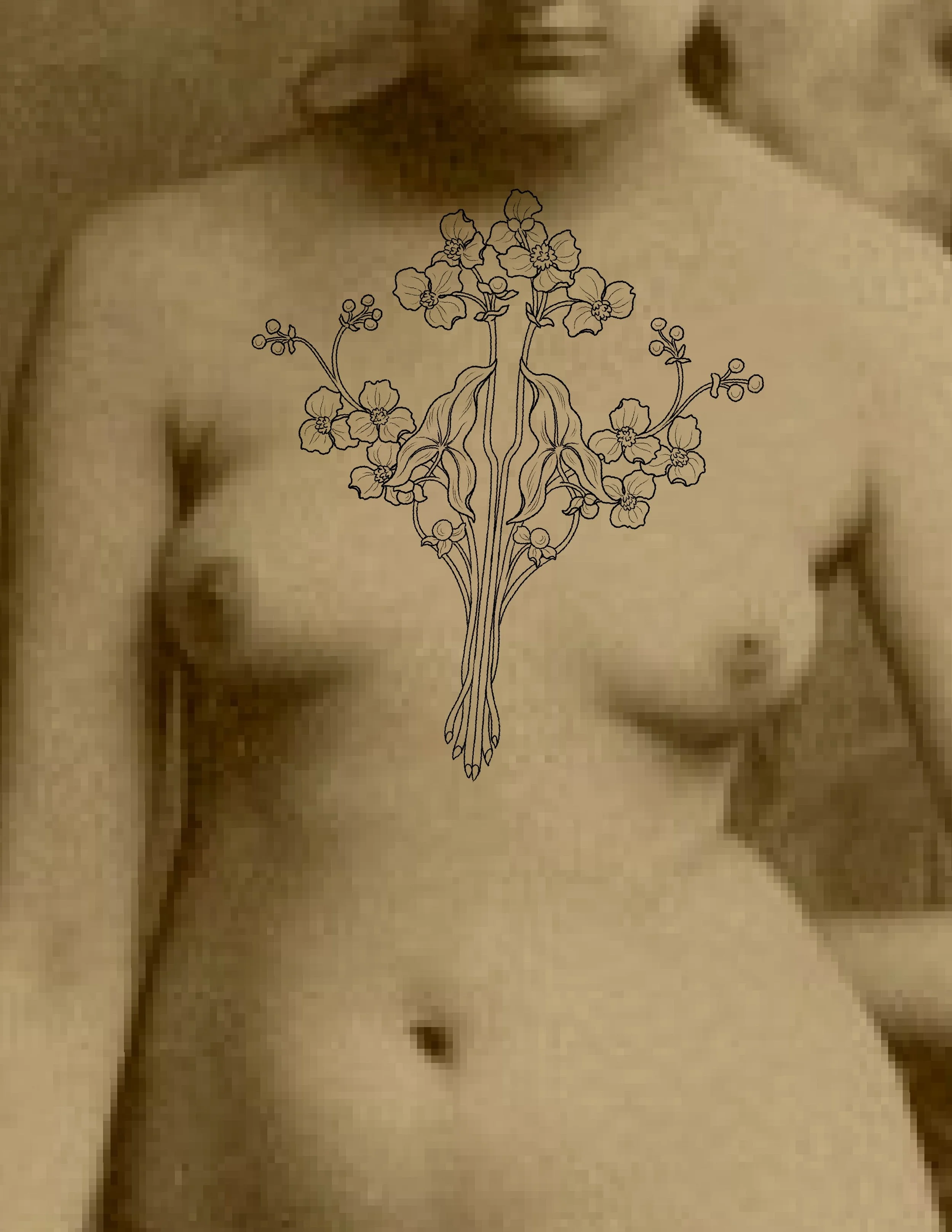 Untitled_Artwork 21.jpg