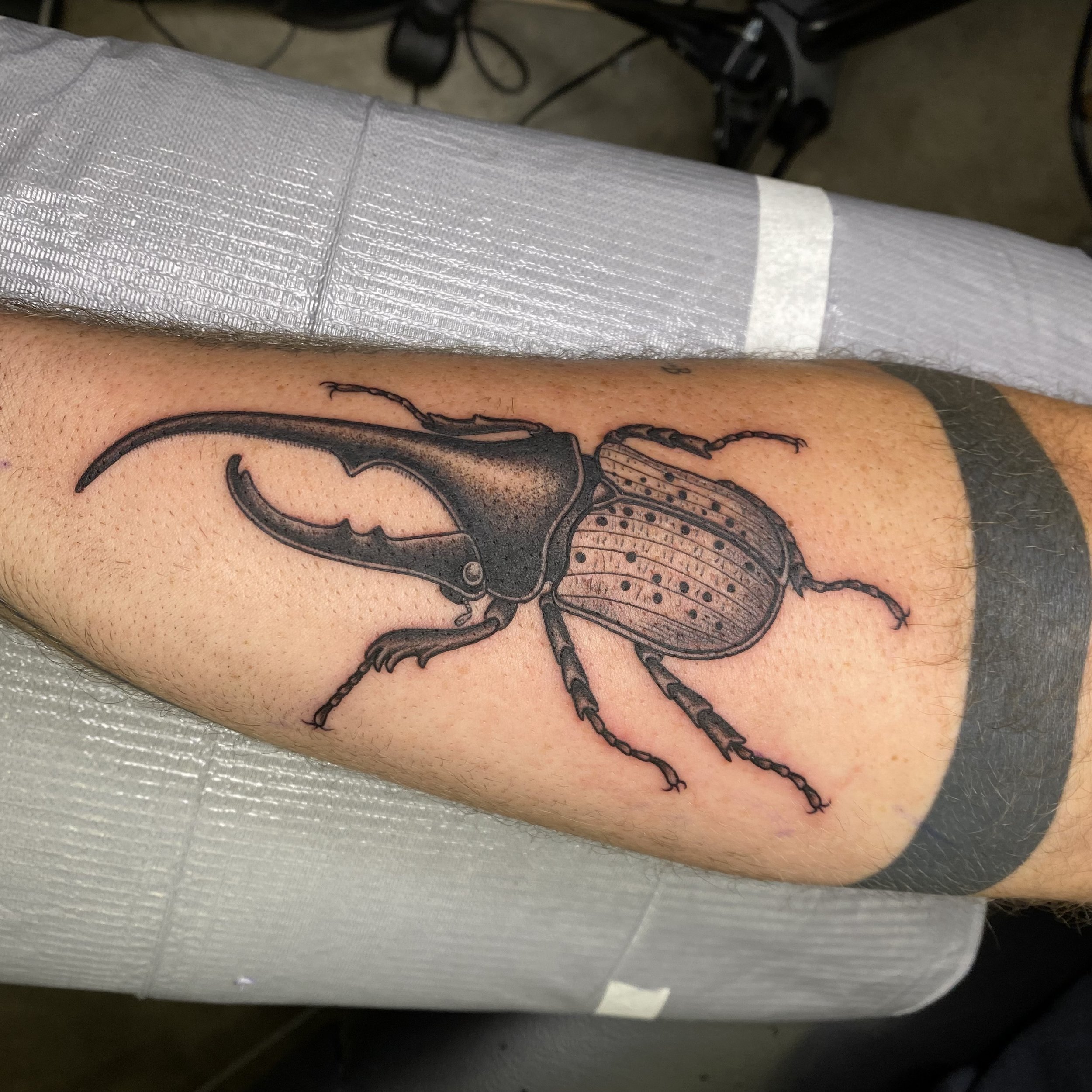 Beetle 🪲 . . . #tattoo #tattoos #tattooideas #tattoolife #tattoodesign  #tattooflash #tattoodrawing #tattoolove #beetletattoo #bugtattoo… |  Instagram