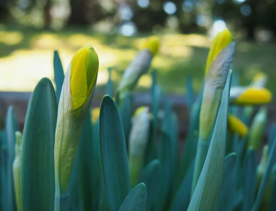 Thoughts for the New Year