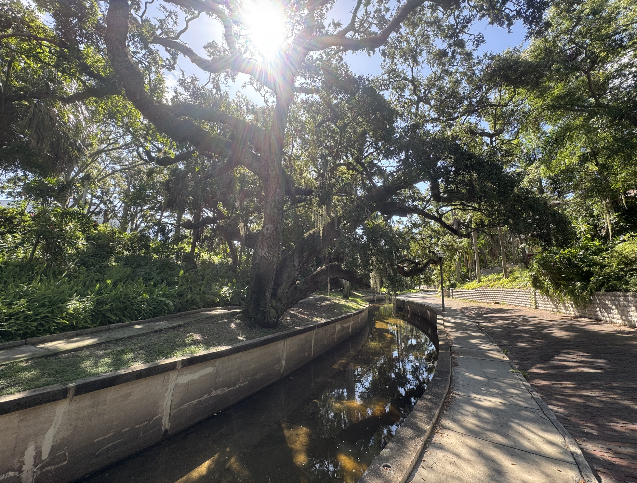 Keep Pinellas Beautiful: Neighborhood Cleanup