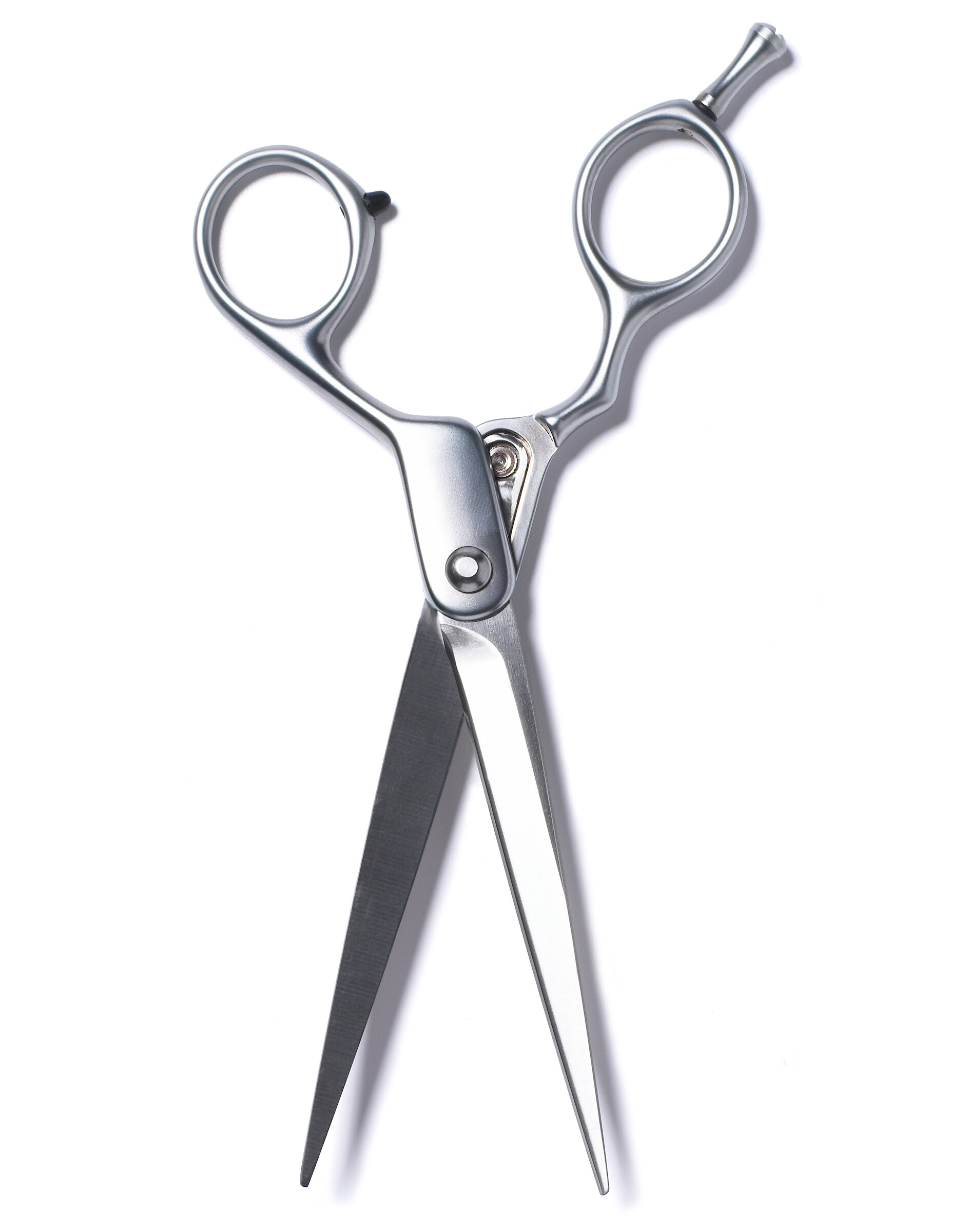 Hair cut scissors.jpg