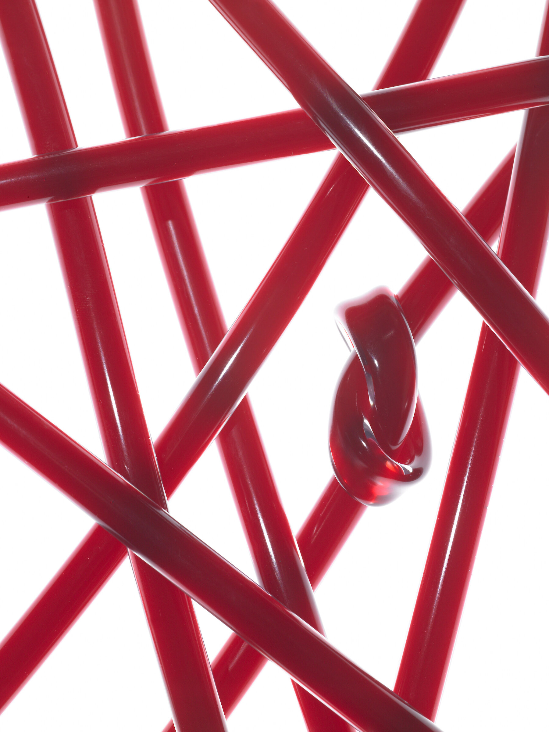 Red knot blood vessels.jpg