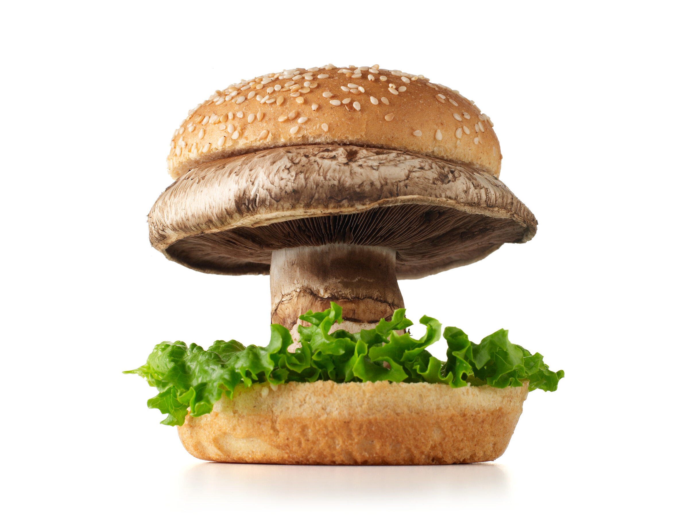 Portobello mushroom burger.jpg
