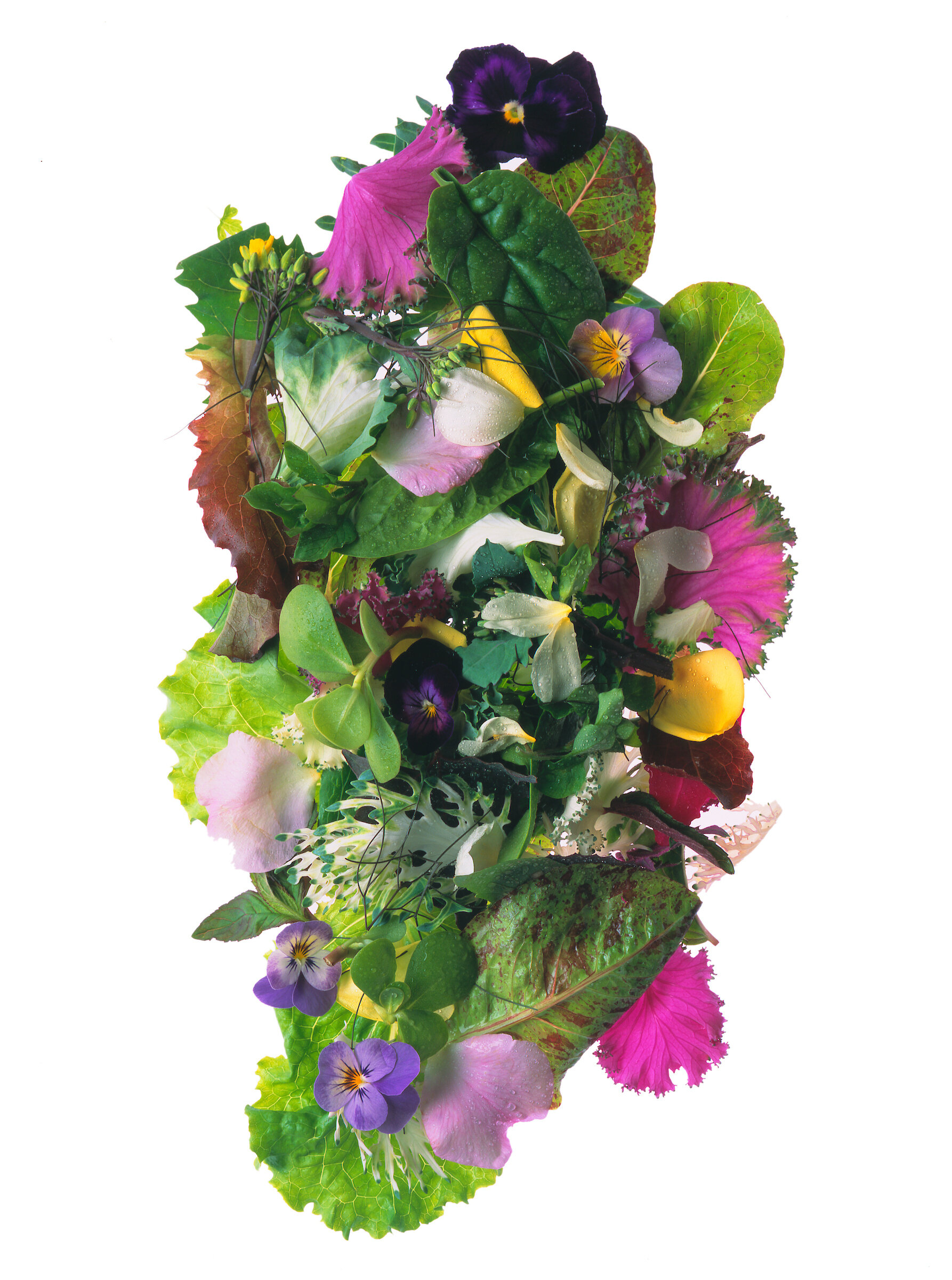 Salad with edible flowers 01.jpg