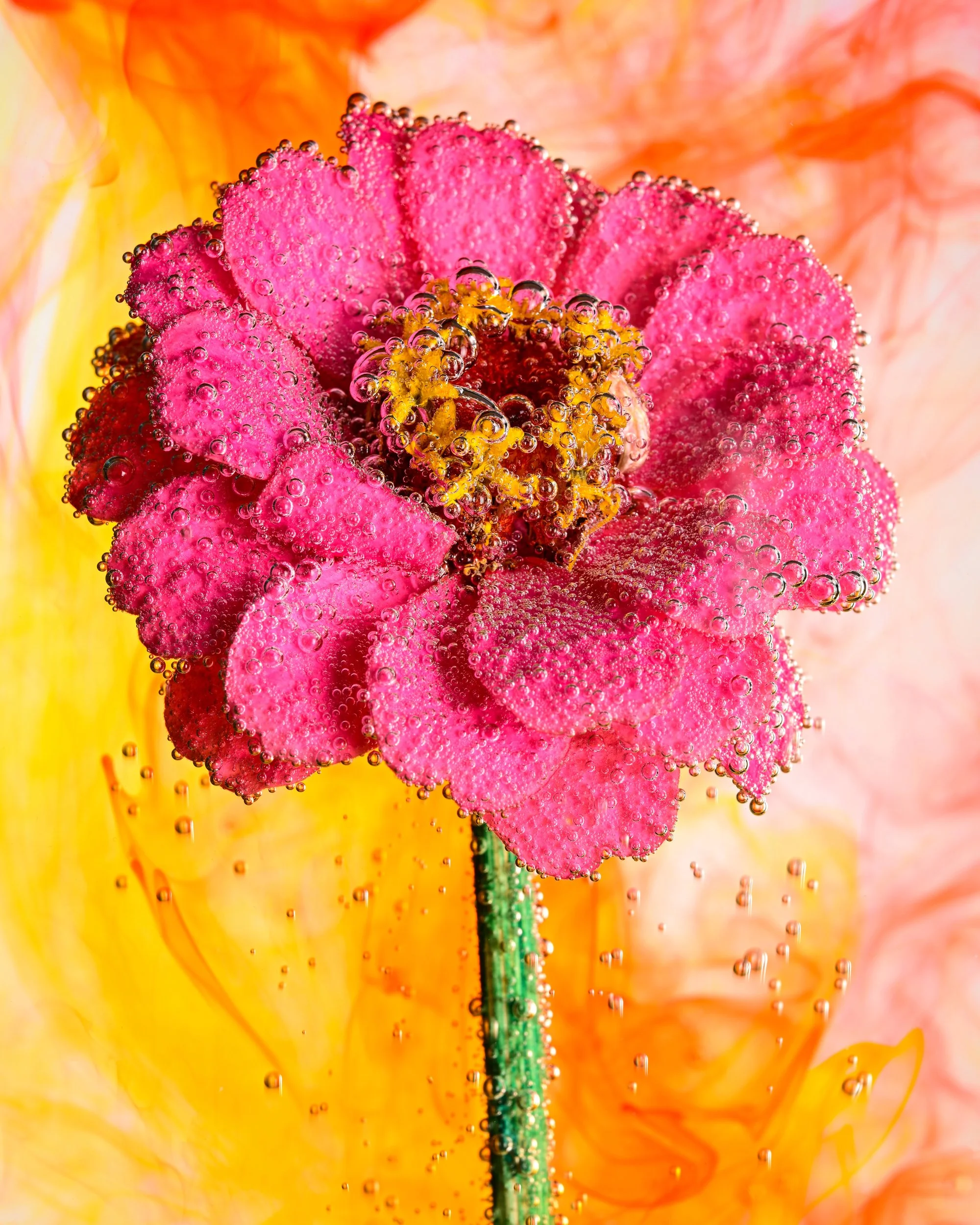 DSC_3621A_RS_S.jpg