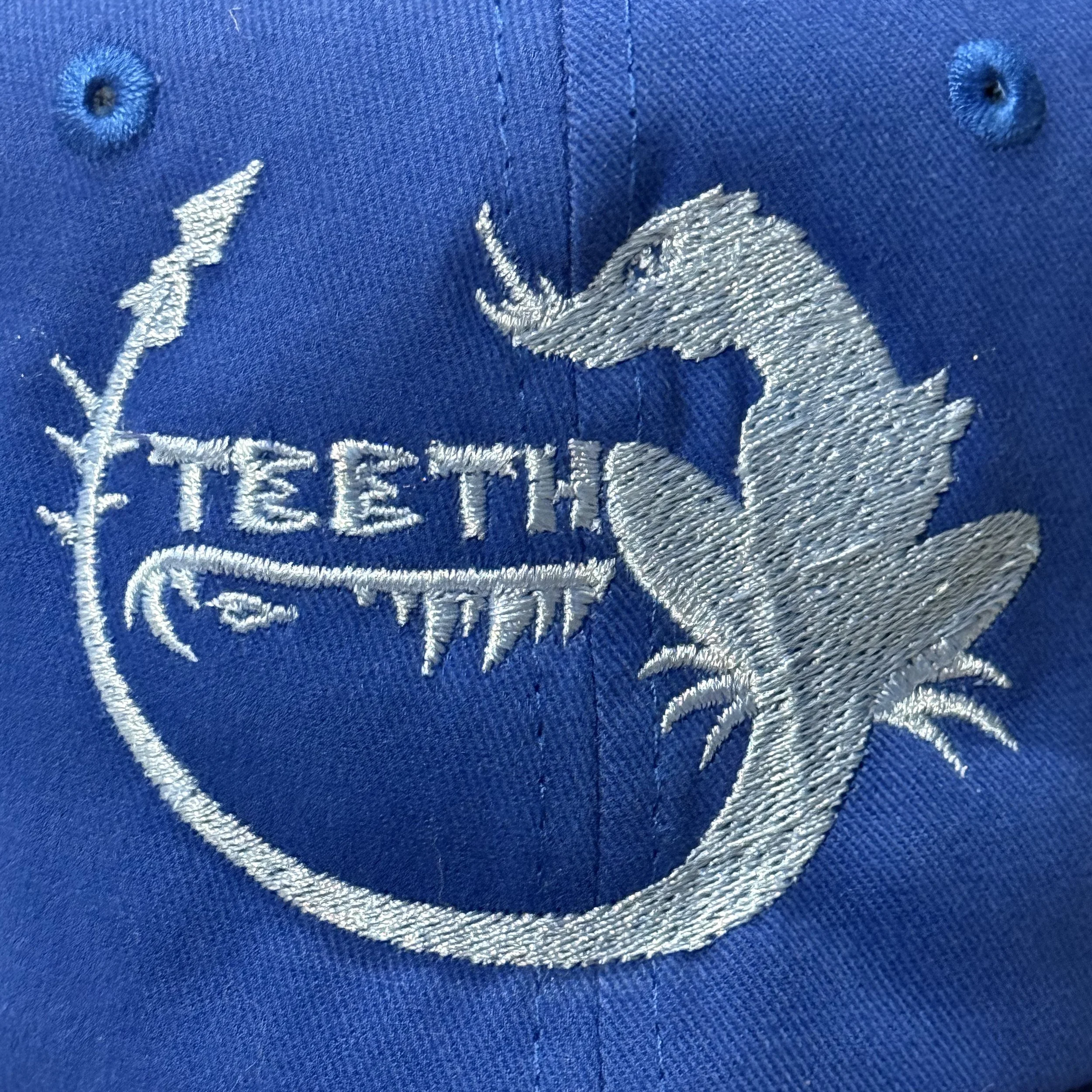 Teeth Lizard Logo Blue Detail.jpeg