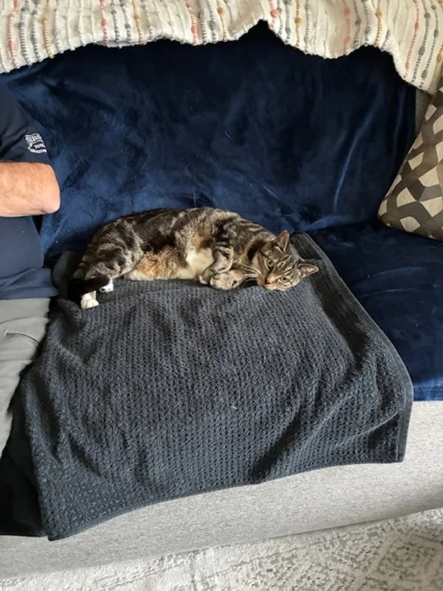 Cleo2.JPG