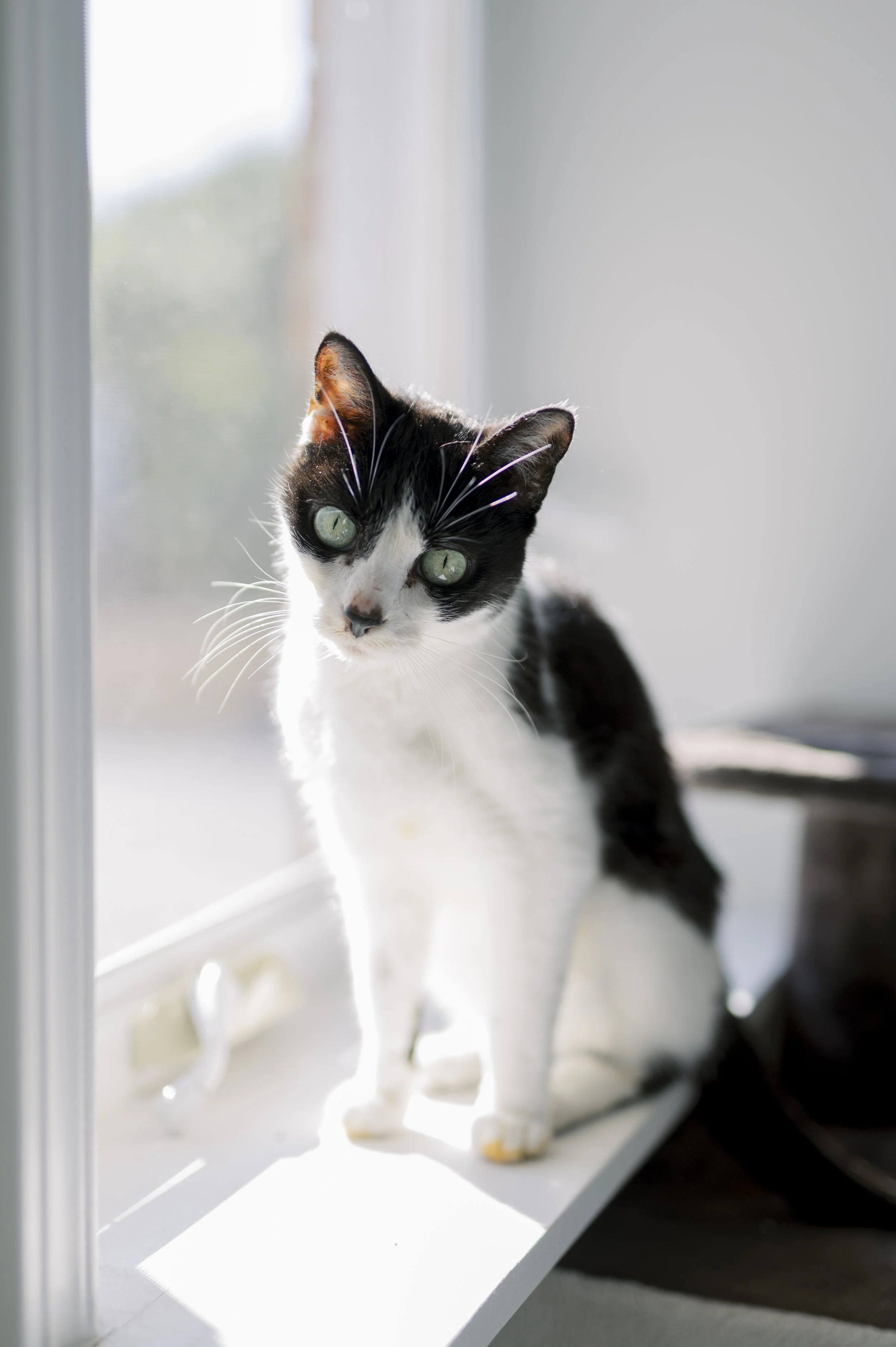 Sophie