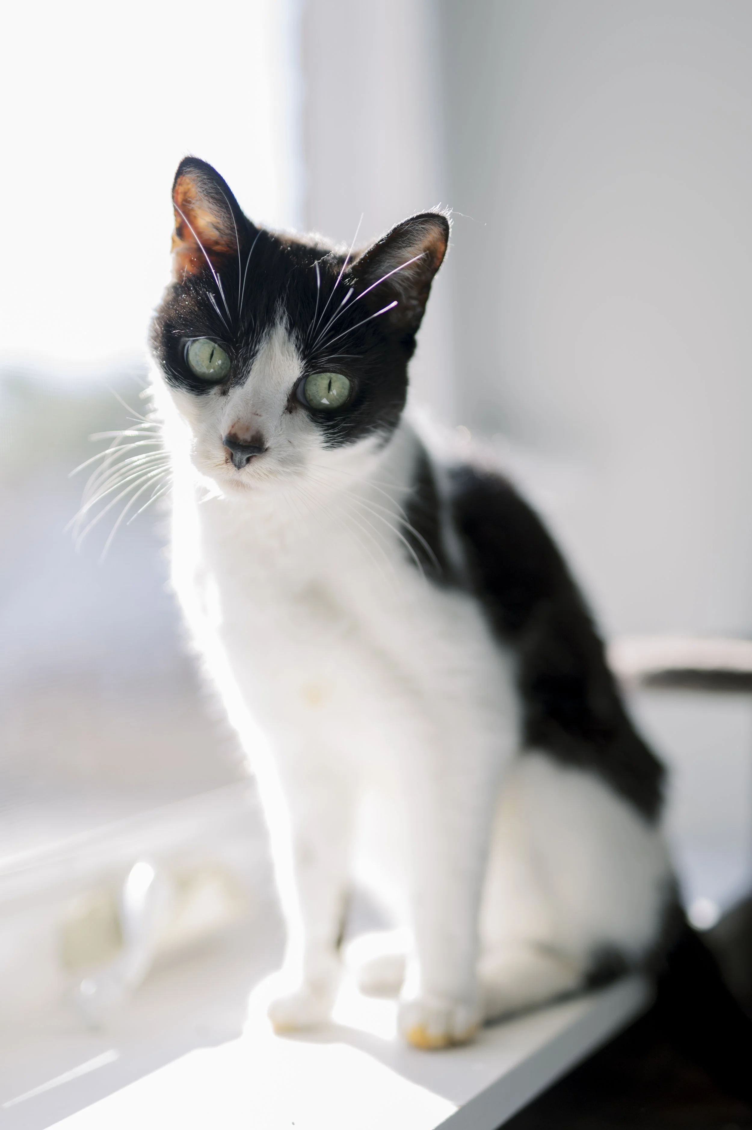 Sophie-2025-4902.jpg
