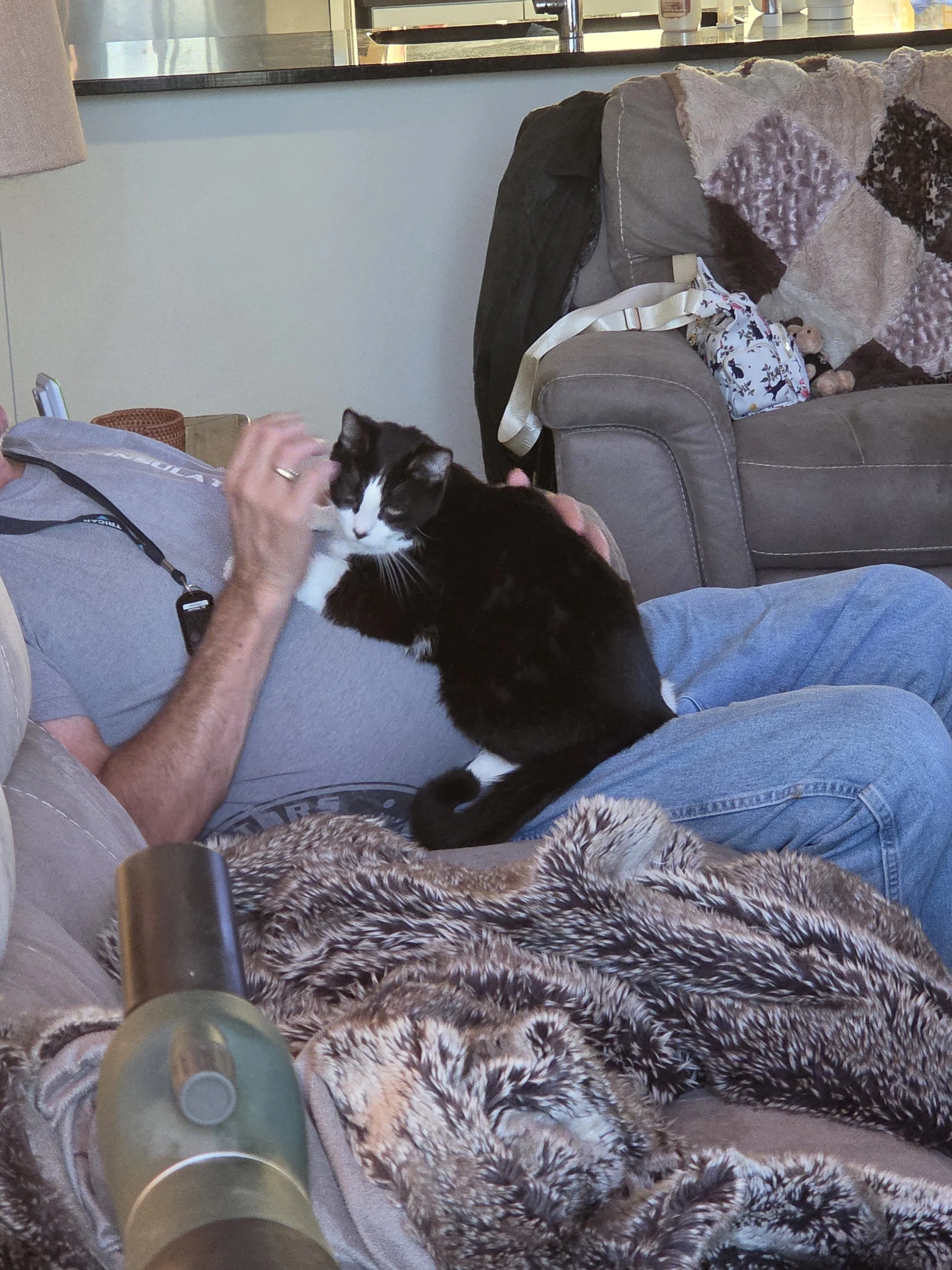 25282.jpg
