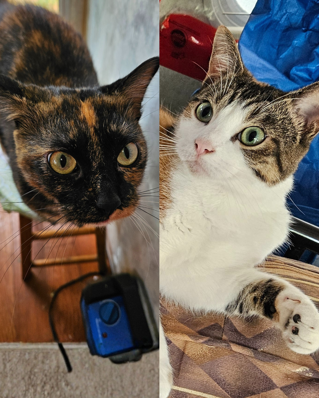Avatar and Minnie