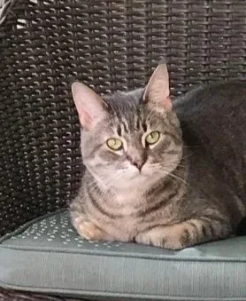 Max