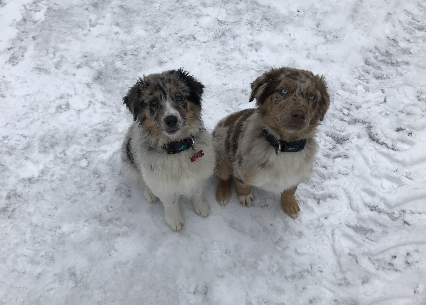 Screenshot 2026-01-07 at 12.52.16 PM.png