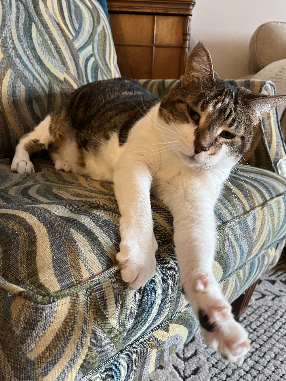 Screenshot 2026-01-12 at 1.40.16 PM.png