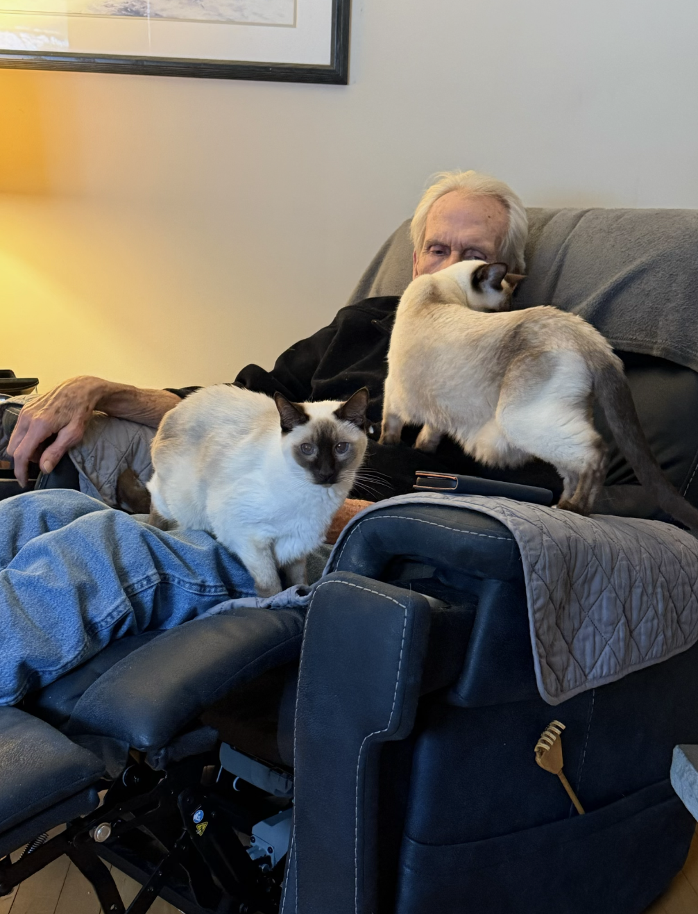 Screenshot 2026-01-15 at 12.34.48 PM.png