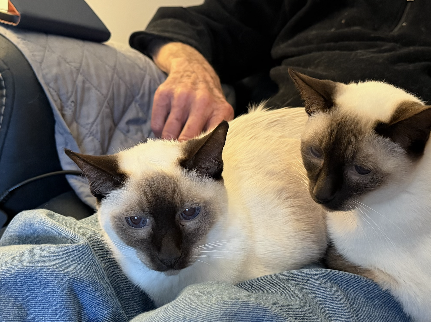 Screenshot 2026-01-15 at 12.34.00 PM.png