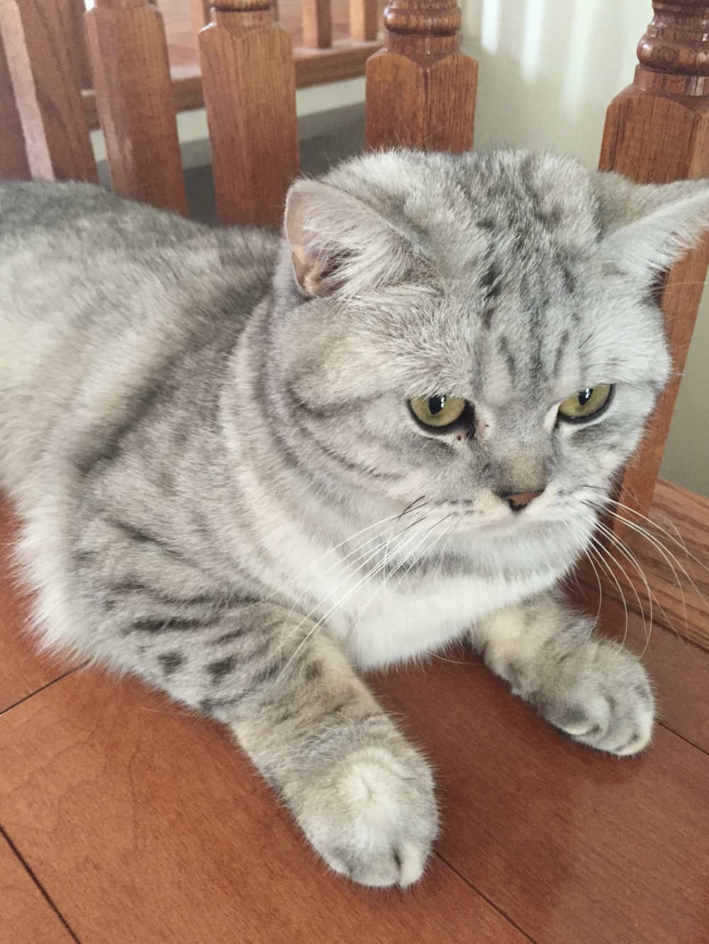 Screenshot 2026-01-19 at 6.26.46 PM.png