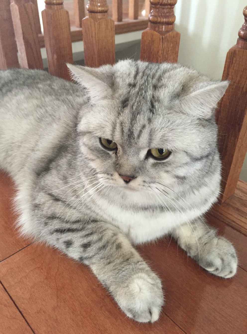 Screenshot 2026-01-19 at 6.26.58 PM.png