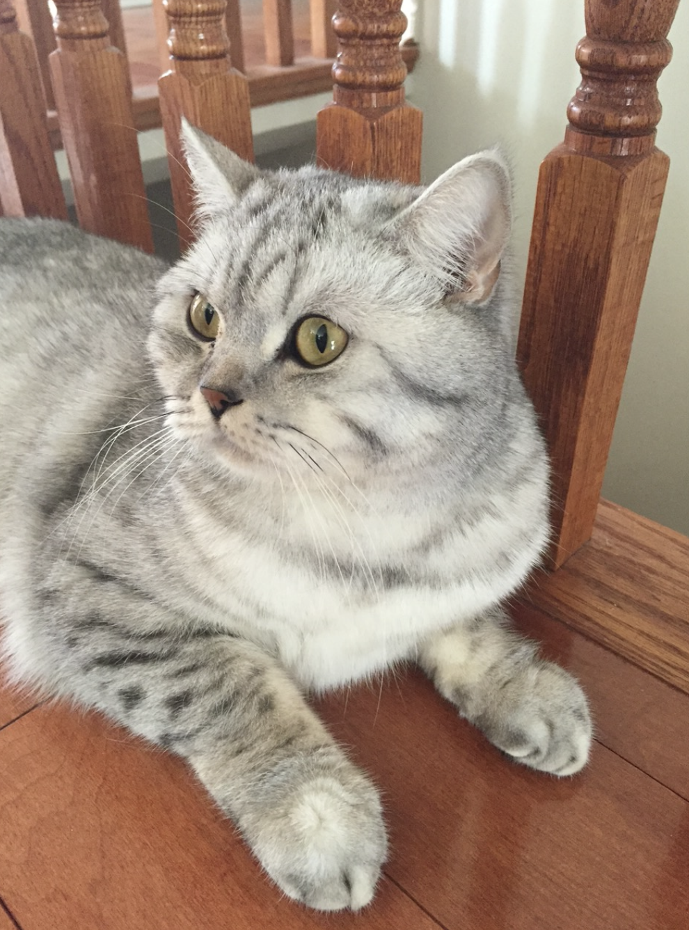 Screenshot 2026-01-19 at 6.26.35 PM.png