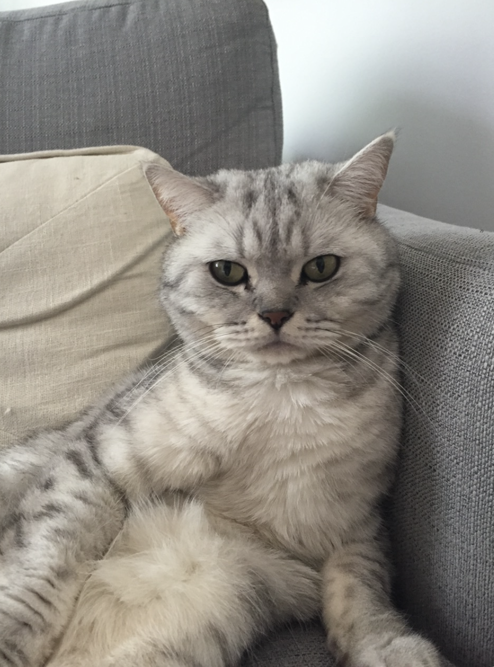 Screenshot 2026-01-19 at 6.25.36 PM.png