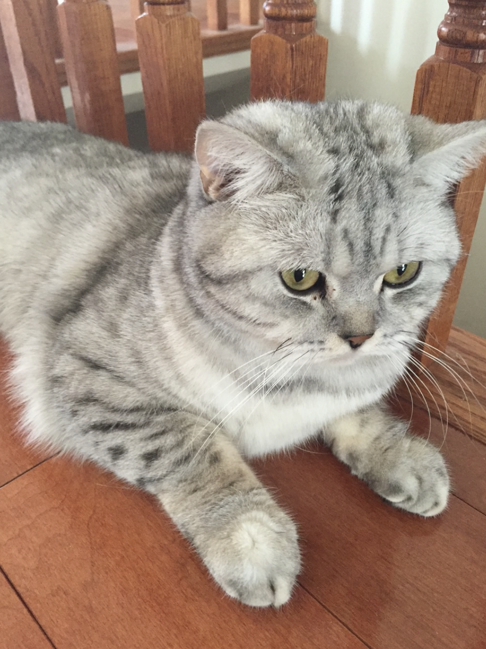 Screenshot 2026-01-19 at 6.23.14 PM.png