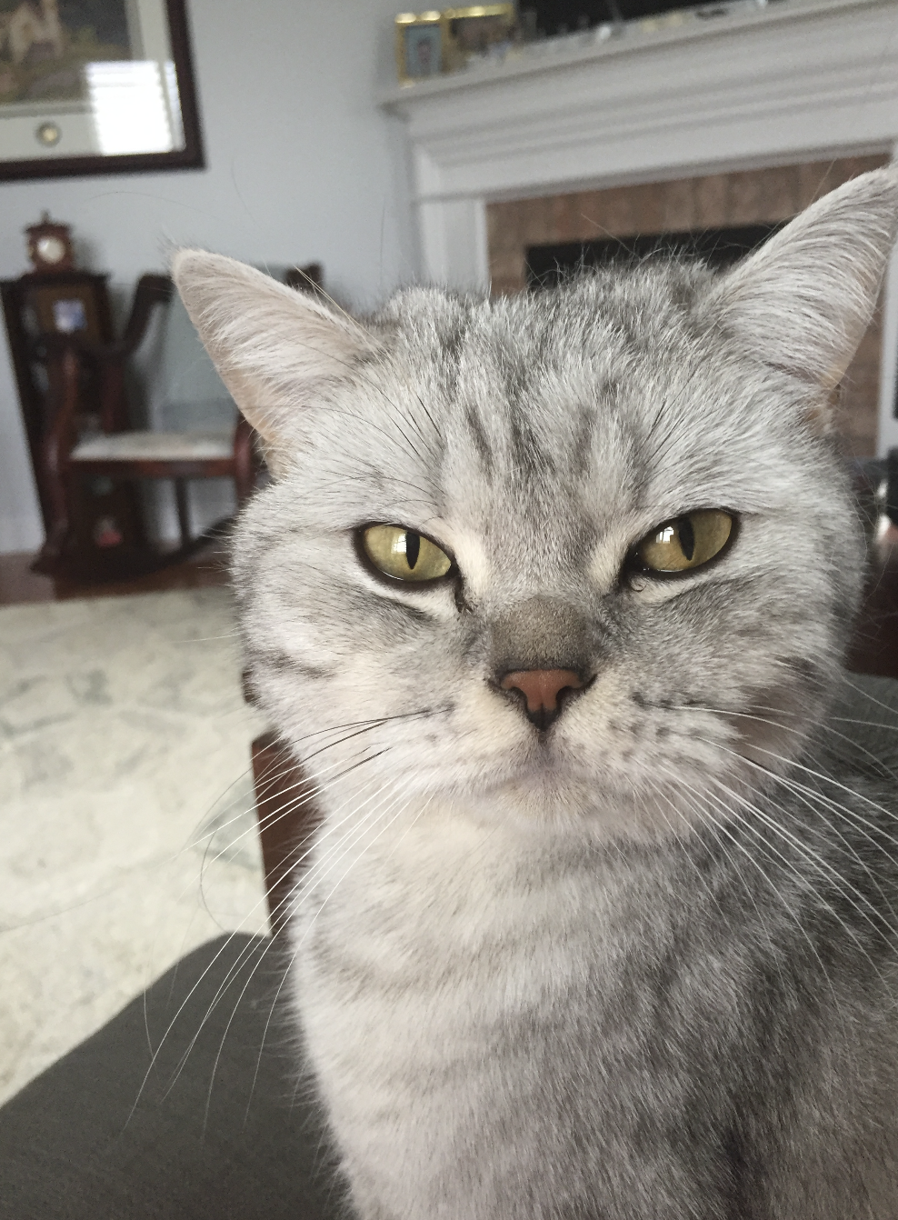 Screenshot 2026-01-19 at 6.23.03 PM.png