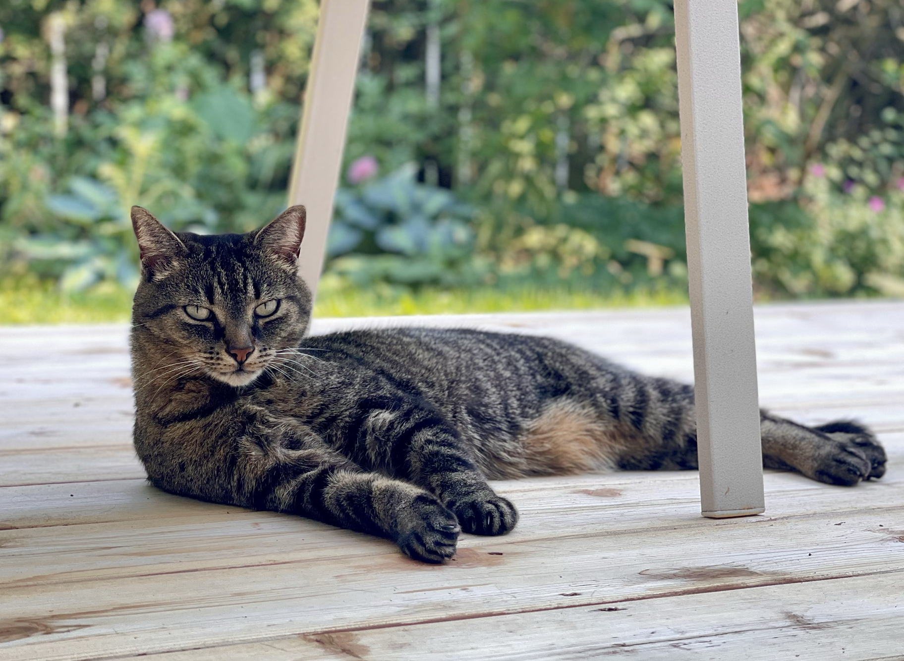 Screenshot 2026-01-22 at 8.33.21 AM.png