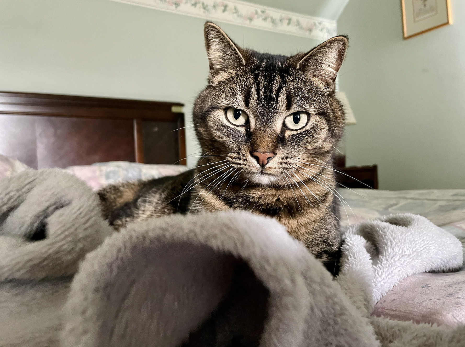 Screenshot 2026-01-22 at 8.33.10 AM.png