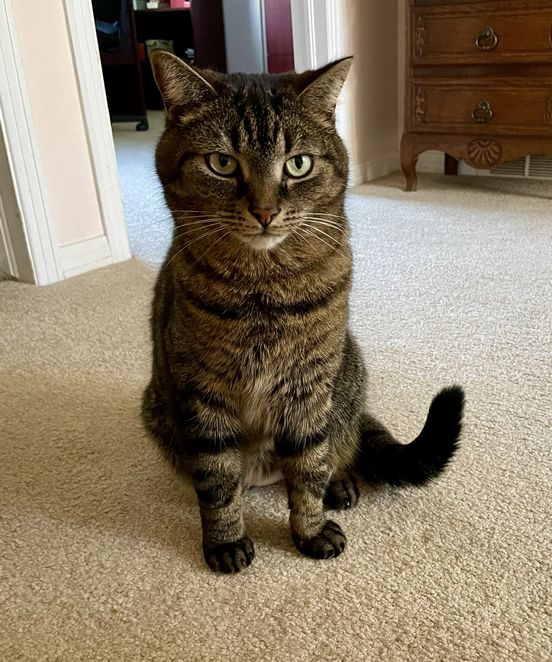 Screenshot 2026-01-22 at 8.32.58 AM.png