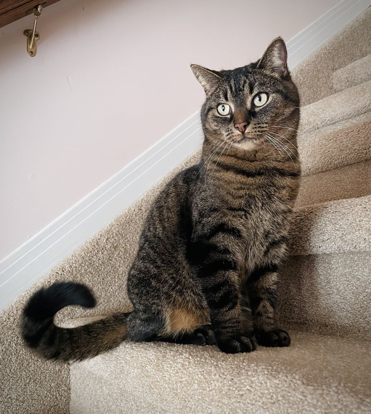 Screenshot 2026-01-22 at 8.32.46 AM.png