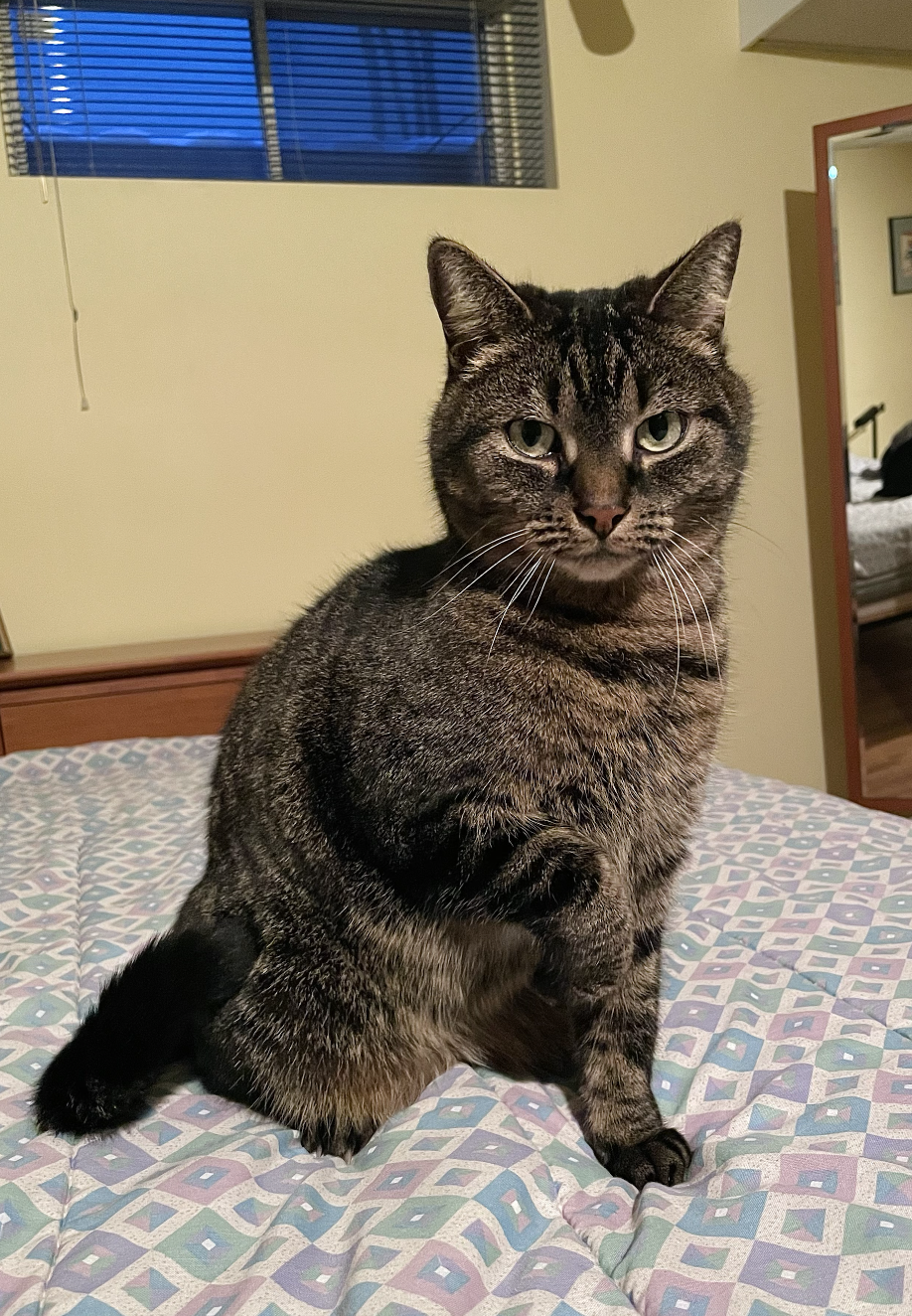 Screenshot 2026-01-22 at 8.32.34 AM.png