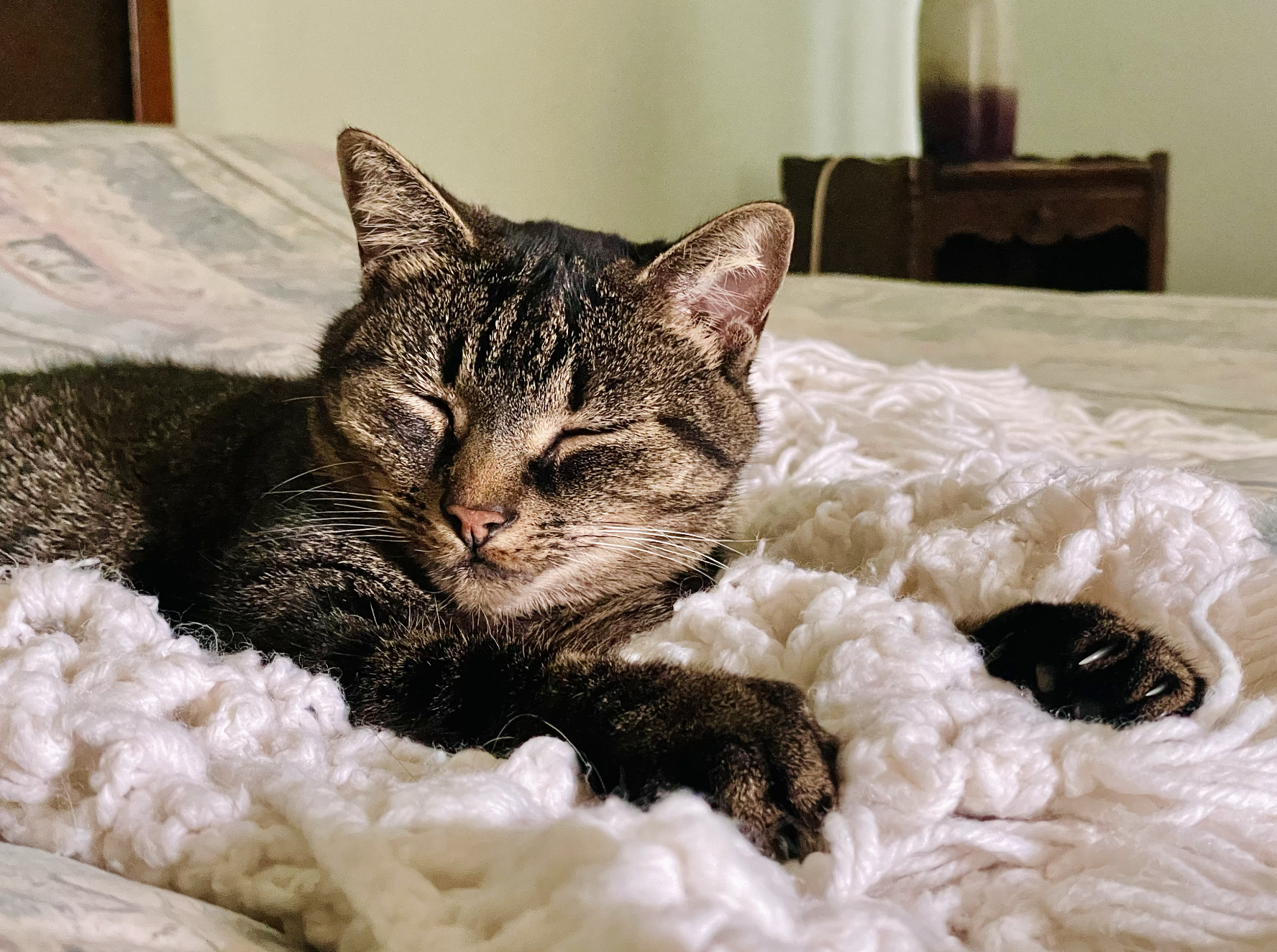 Screenshot 2026-01-22 at 8.32.11 AM.png