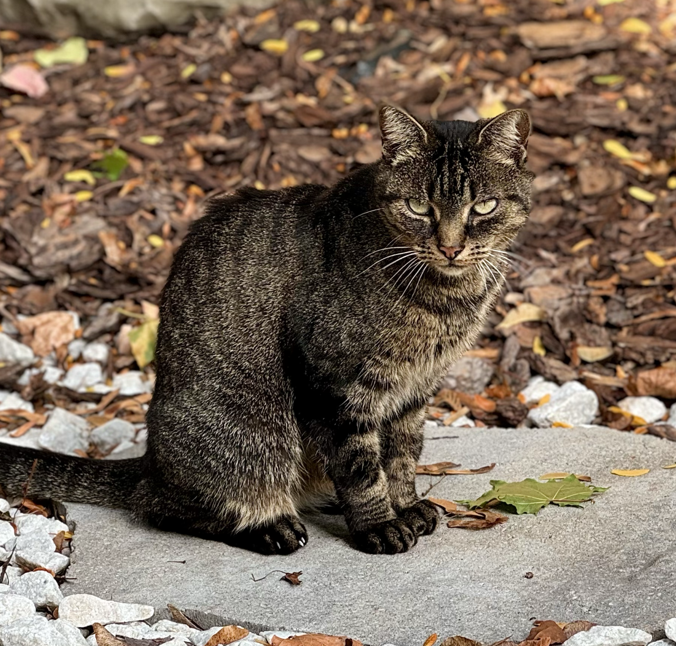 Screenshot 2026-01-22 at 8.16.22 AM.png