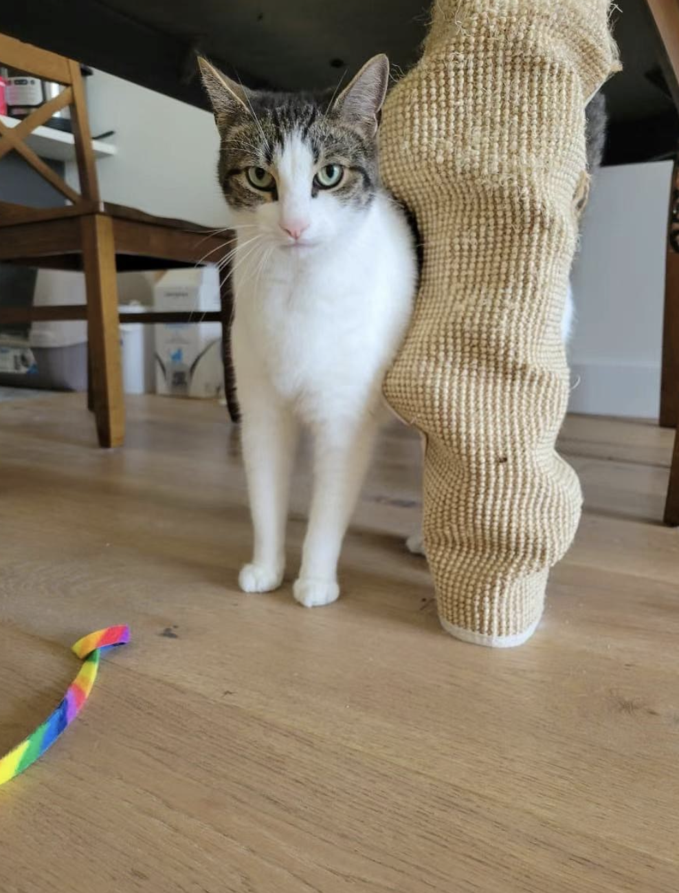 Screenshot 2026-01-27 at 11.04.14 AM.png