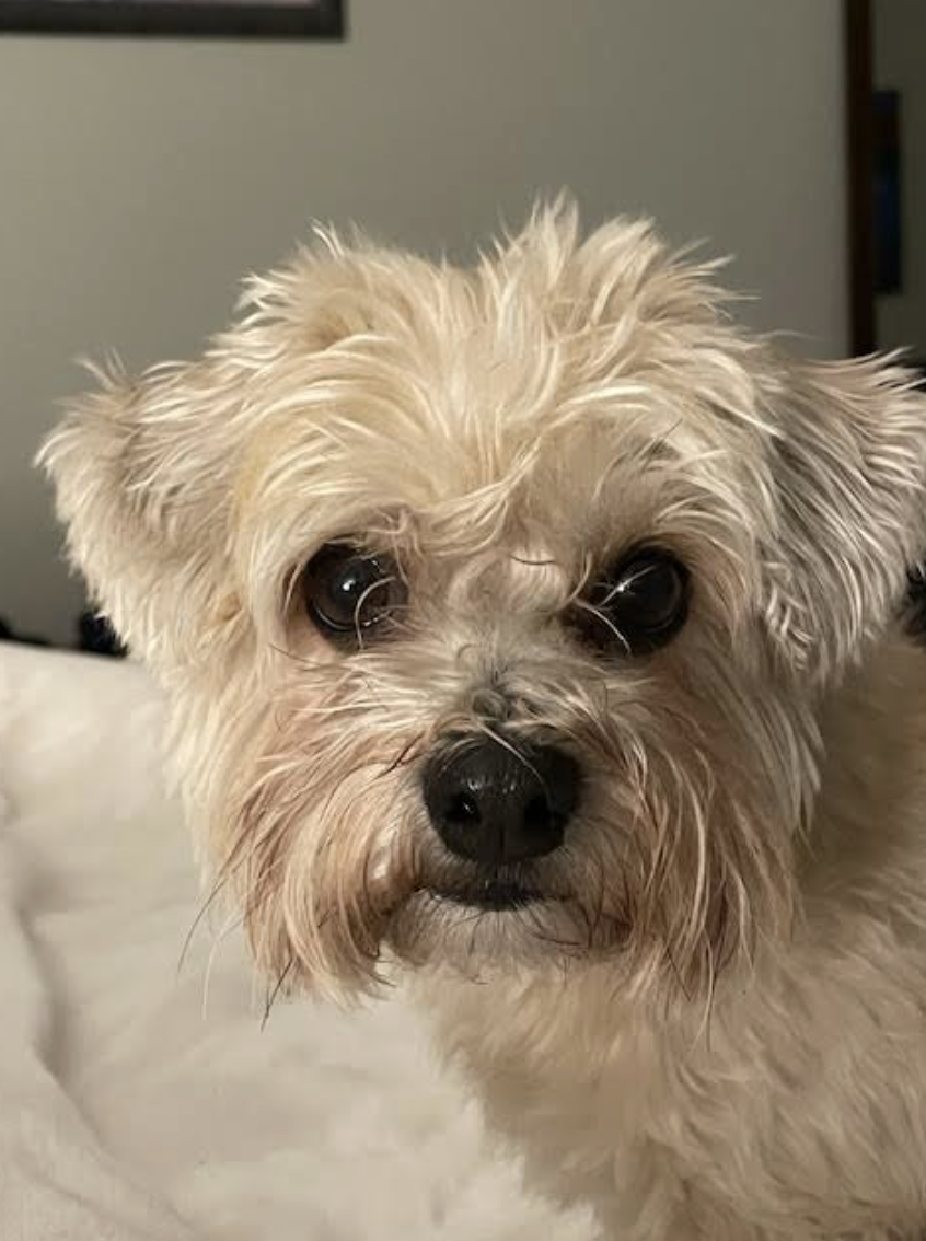 Screenshot 2026-02-06 at 8.37.58 AM.png