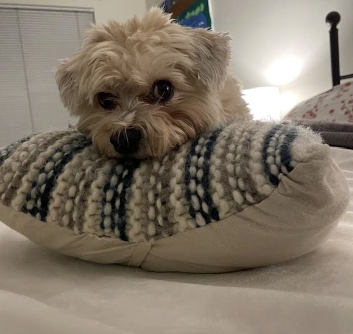 Screenshot 2026-02-06 at 8.37.48 AM.png