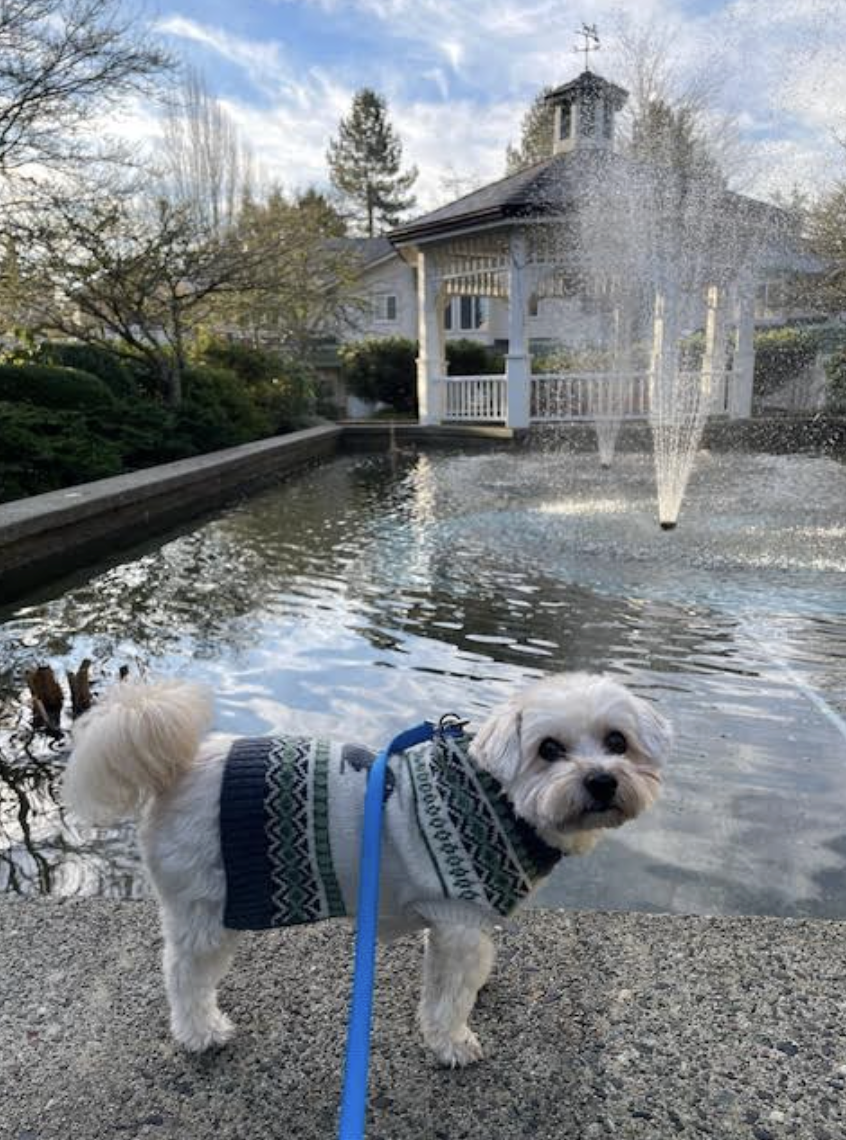 Screenshot 2026-02-06 at 8.37.36 AM.png