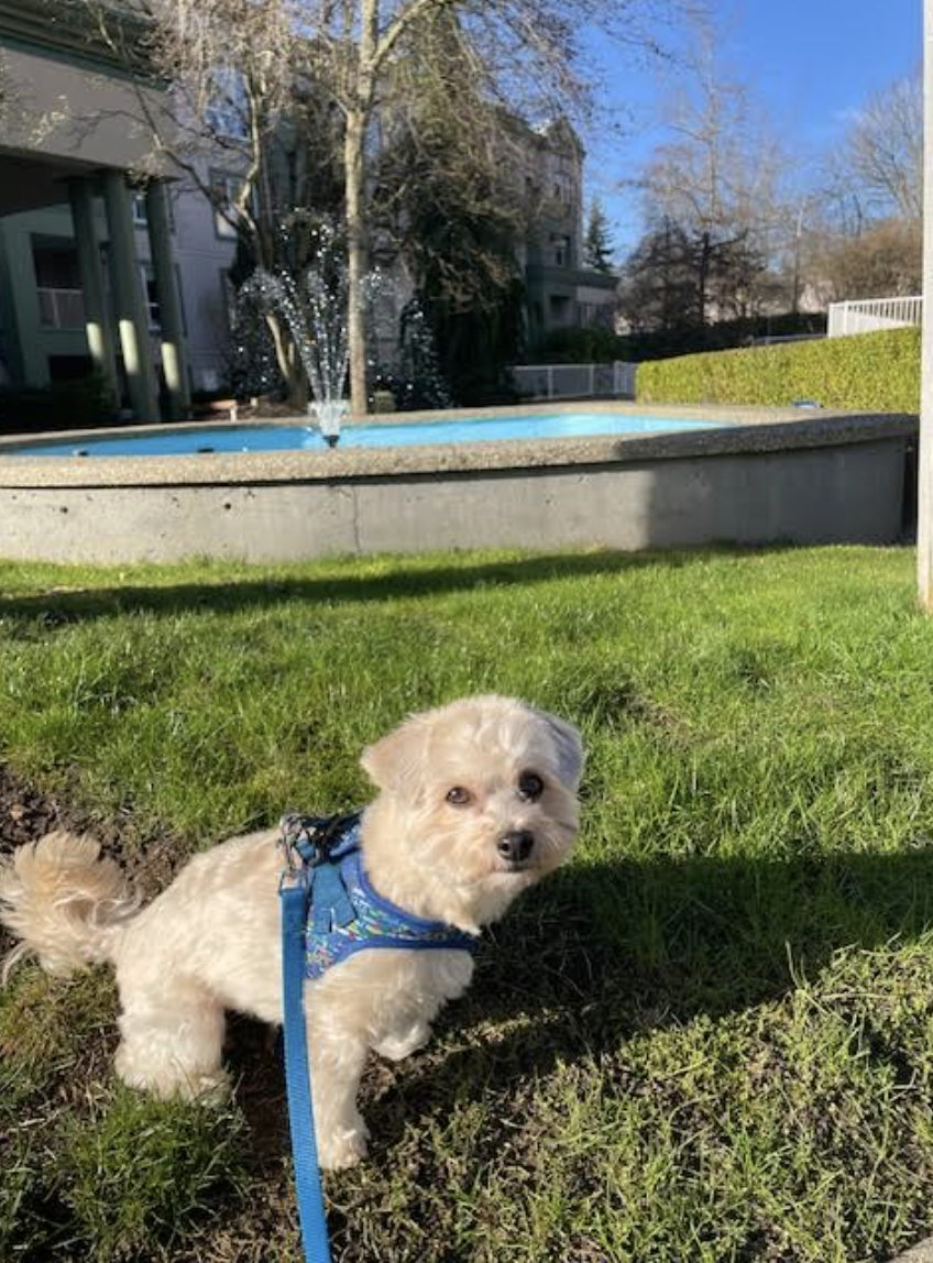 Screenshot 2026-02-06 at 8.37.24 AM.png