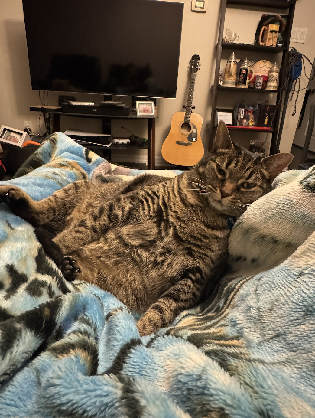 Screenshot 2026-02-23 at 7.11.18 PM.png