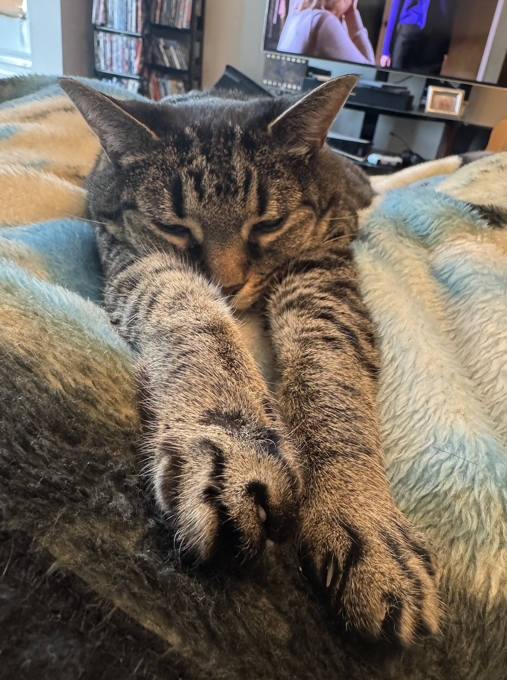 Screenshot 2026-02-23 at 7.10.52 PM.png