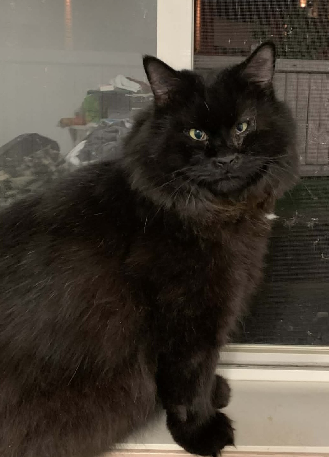 Screenshot 2026-03-04 at 10.28.17 AM.png